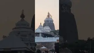 Shree Jagannatha Temple - Flag change Ritual | Puri Odisha India
