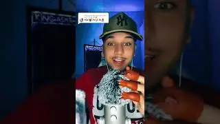 #asmr #squirrel