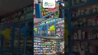 Maa Sharda Medical Store |Trusted Medical Store in Kanpur |Your One-Stop Health Destination
