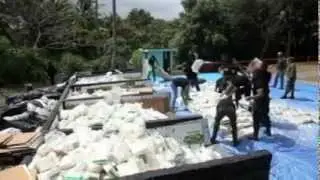 Incineran varias toneladas de drogas en República Dominicana