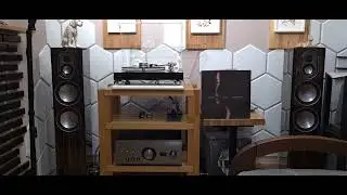 Janis Ian - Breaking Silence. LP 1992/2012 (video 207).