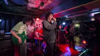Bones Ate Arfa (Featuring Dread FM) -  Shedtrak (LIVE)