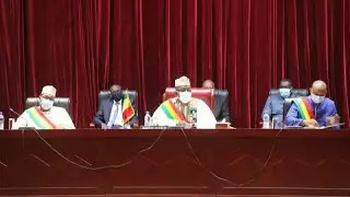 Mali parliament approves new charter allowing a five-year democratic transition