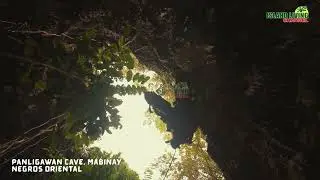 Municipality of Mabinay, Negros Oriental