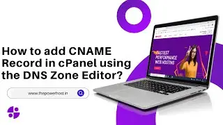 How to add CNAME Record in cPanel using the DNS Zone Editor with The PowerHost