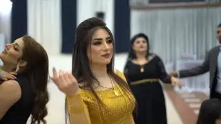 حفلات اربيل هيوا&جيمن رقص شيخاني