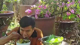 ăn cơm ngoài vườn / ĐẠT LONG VLOGS
