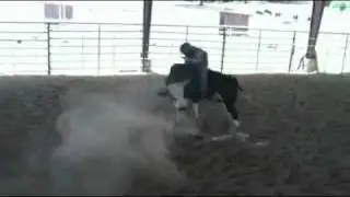 Reindeer Dippin