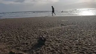 playa montelimar