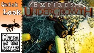 Mantz plays with Ants! | Empires of the Undergrowth - Quick Look