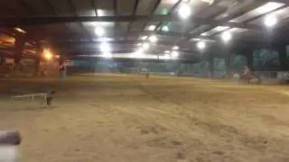 Big ugly, firewaterontherocks 3 yr old owned by Robyn Herring