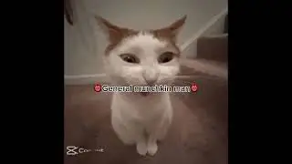 DONT M3SS W1T MY GNG