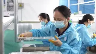 Manufacturer of Planar Magnetic Drivers