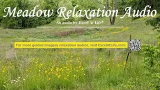 Meadow Relaxation: A Guided Imagery Journey for Stress Relief