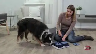 TRIXIE Heimtierbedarf - Dog Activity Strategy Game Poker Box 1