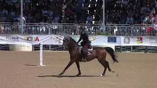 1st CSI*** h1.50 - 37^ GP Coppa degli Assi - Francesco Correddu