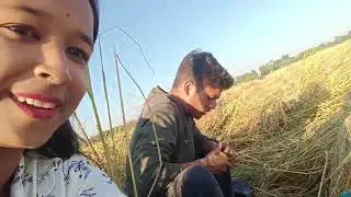 পথাৰত দেই ৰাইজ 🌾💗