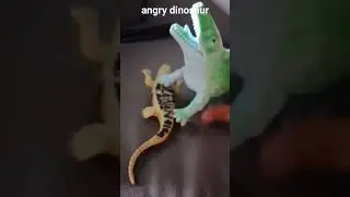 The angry dinosaur