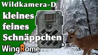 Die kleine feine billige Winghome 630M eine Wildkamera Empfehlung