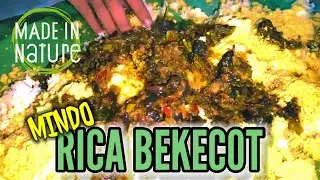 SANTAP MALAM LAUK RICA BEKECOT || MR. STEVEN DADOL & TIM