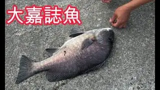 20251026 安平北堤