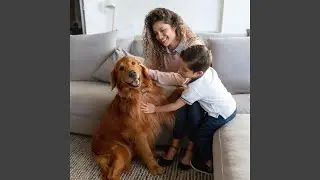 Ember's Pet Harmony
