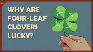 Why are Four-Leaf Clovers Lucky?