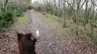 Jed & Murphy having a blast - Please subscribe so we can live stream!