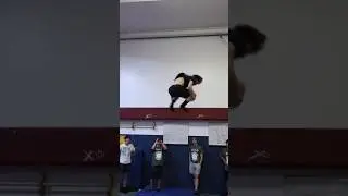 INSANE TRAMPOLINE FLIPS #shortsclip #shorts #short  #youtube #youtuber #subscribe #flips #viral