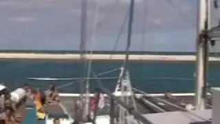 ReefTrip.wmv