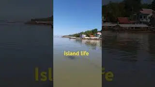 ISLAND VIEW/SIMPLE LIFE/BEAUTIFUL PLACE/TALIM ISLAND/#islandlife #talimisland #shorts #beautiful
