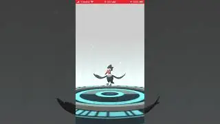 [Pokemon GO] Full Evolution Line of Pidove! #pokemongo #pokemon #evolution #pidove #unfezant