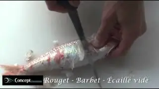 Rouget barbet ecaill&eacute;-vid&eacute;