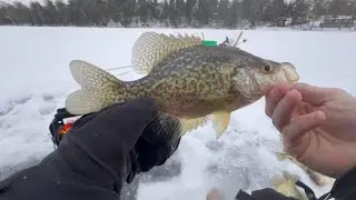 Basin Crappie Fishing