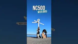 NC500: making memories travelling with our dogs #northcoast500  #adventurewithdogs