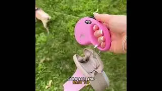 Portable Dog Pooper Scooper