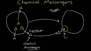 Introduction to Chemical Messengers