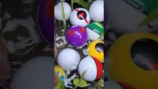 #colorfulfish #pokemon #cutefish