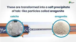 ELCLA - LIMESCALE REMOVER - WATER SOFTENER