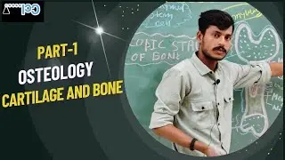 Cartilage and Bone |Introduction | Embryology |Types | Function | Microscope View | Blood supply