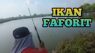 MANCING IKAN FAFORIT SERU LUUUR