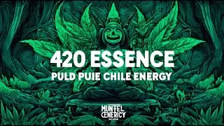Playful Vibes 🌿 - 420 Music | Whimsical Relaxation & Good Vibes