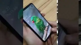 How to Enable Fingerprint on Magnetic Case for S10