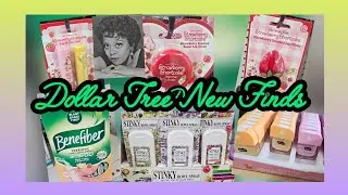 Dollar Tree New Finds. The Hunt is Real! #dollartree #dollartreenewfinds 