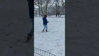 ny nieve 2022(3)