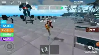 Strength simulator codes