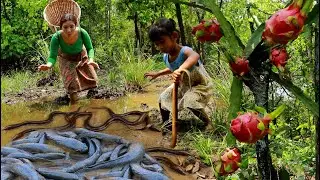 Catch a lot ell and many fish in flood forest- Mother cooking ell spicy +2food of survival