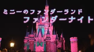 環境演出！ミニーのファンダーランド　ファンダーナイト