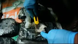 Illegal drugs: Responding to the threat