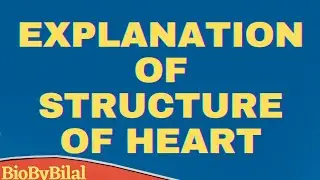 Explanation of #structureofheart